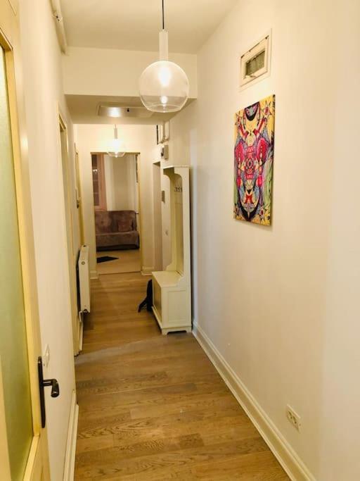 Joy City Stay Nemoianu 7 Тимишоара Экстерьер фото